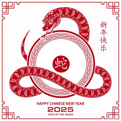 2025年是什么生肖|2025年属什么生肖 2025年的生肖是什么